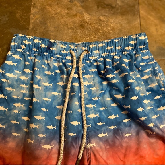 The Endless Summer Mens Swim Trunks - Picture 4 of 5